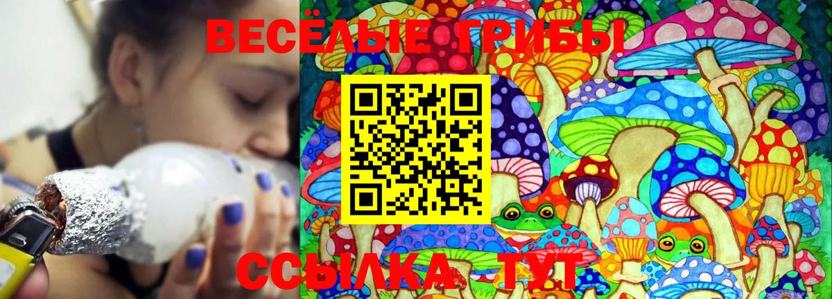Сальск  Галлюциногенные грибы мухоморы  Вход с VPN 