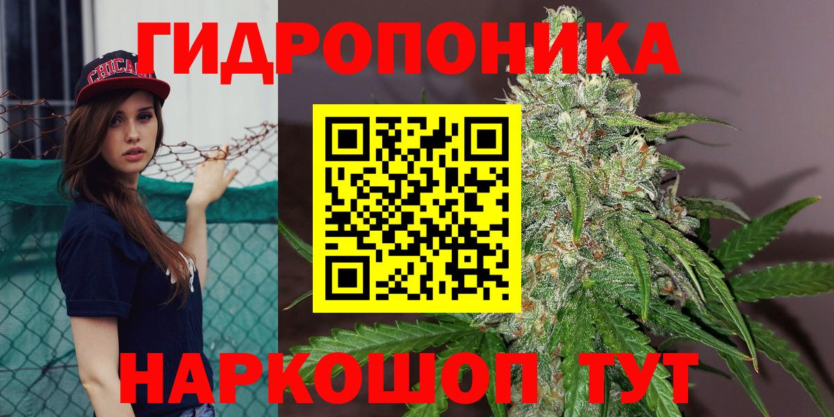 Бошки марихуана индика  Вход с VPN  Сальск  Бошки марихуана ГИДРОПОН  Бошки Шишки Amnesia 